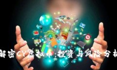 解密CY虚拟币：投资与风险