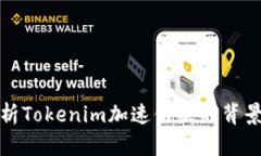 深入解析Tokenim加速付款的