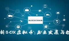 深入解析BCX虚拟币：未来发展与投资潜力