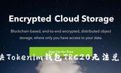 : 如何解决Tokenim钱包TRC20无法兑换的问题？