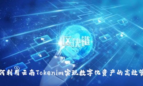 如何利用云南Tokenim实现数字化资产的高效管理