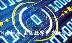 探索BTN虚拟币：未来数字