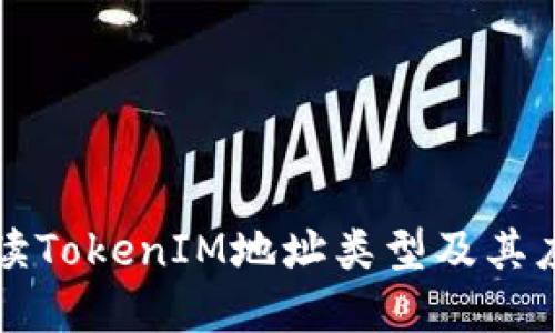 深入解读TokenIM地址类型及其应用场景