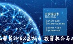  全面解析SMEX虚拟币：投资