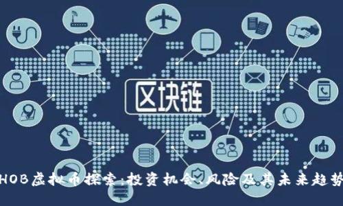 HOB虚拟币探索：投资机会、风险及其未来趋势