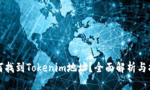 如何找到Tokenim地址？全面解析与指南