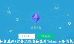 如何在iOS设备上下载和使