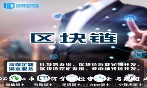  YOD虚拟币：如何掌握投资机会与规避风险