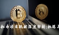 2023年虚拟币项目现状深度
