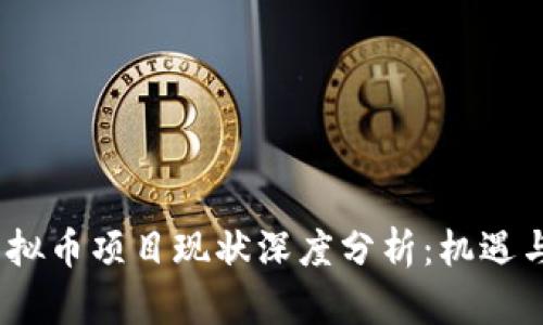 2023年虚拟币项目现状深度分析：机遇与挑战并存