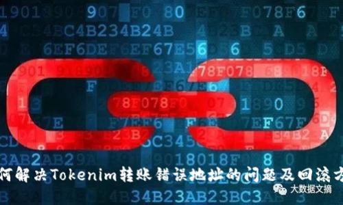 如何解决Tokenim转账错误地址的问题及回滚方法