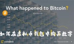 网站如何在虚拟币钱包中
