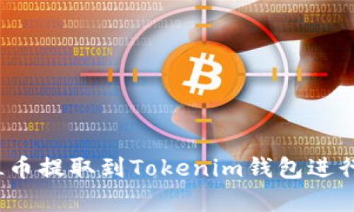 如何将FIL币提取到Tokenim钱包进行安全存储