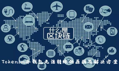 Tokenim冷钱包无法转账的原因及解决方案