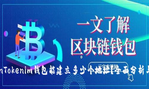 一个TokenTokenim钱包能建立多少个地址？全面分析与实用指南
