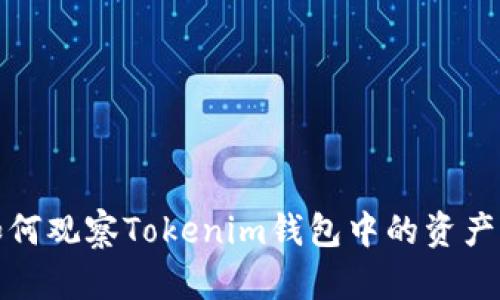 : TP钱包如何观察Tokenim钱包中的资产及交易记录