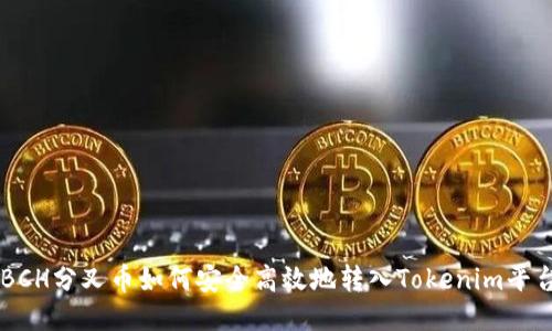 BCH分叉币如何安全高效地转入Tokenim平台