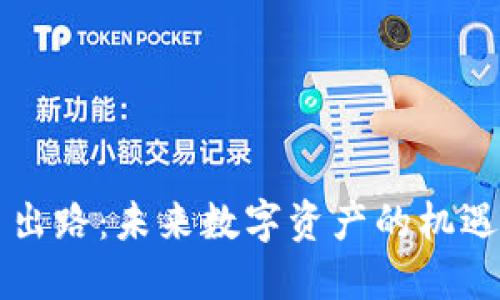 虚拟币出路：未来数字资产的机遇与挑战