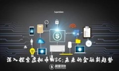 深入探索虚拟币WSC：未来