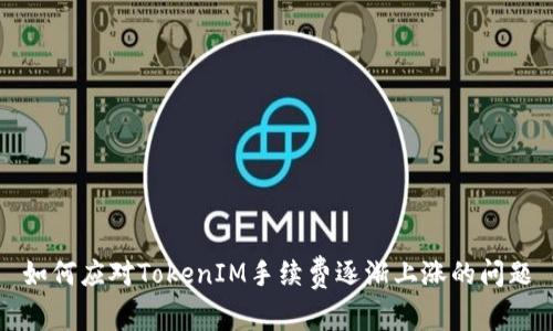 如何应对TokenIM手续费逐渐上涨的问题