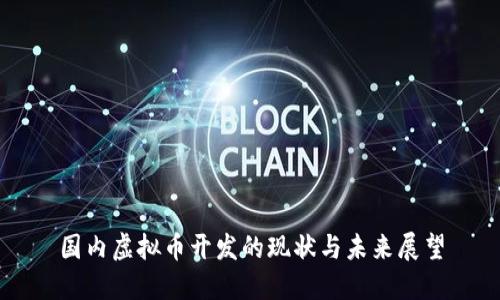 国内虚拟币开发的现状与未来展望