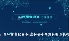 : 深入解析鱿鱼币：虚拟货