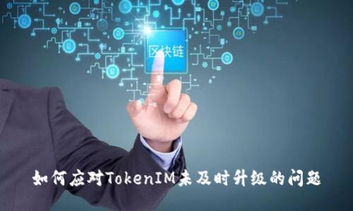 如何应对TokenIM未及时升级的问题
