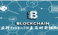 如何应对TokenIM未及时升级
