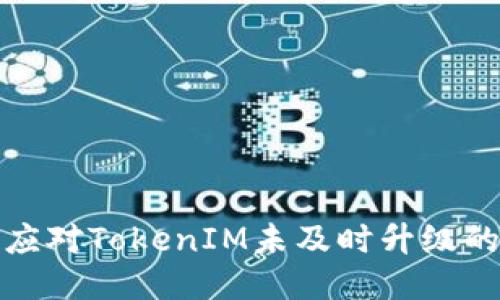 如何应对TokenIM未及时升级的问题