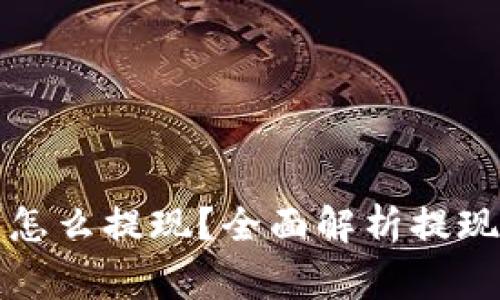 钱包里的虚拟币怎么提现？全面解析提现流程与注意事项