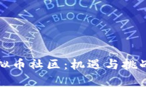 探索国外虚拟币社区：机遇与挑战的全面分析