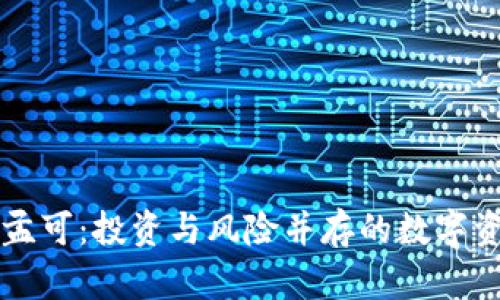虚拟币孟可：投资与风险并存的数字资产未来
