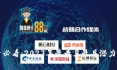 虚拟币投资必看：2023年最