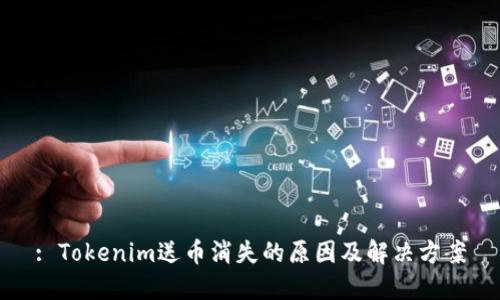 : Tokenim送币消失的原因及解决方案