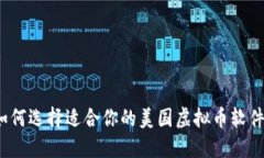 如何选择适合你的美国虚