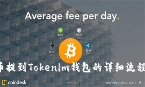 FIL币提到Tokenim钱包的详细流程教程