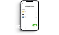 Tokenim钱包如何支持泰达币