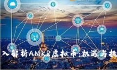 深入解析AMKR虚拟币：机遇与挑战