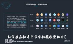 如何在虚拟币牛市中把握投资机会？