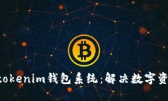 定制化开发Tokentokenim钱包系统：解决数字资产管
