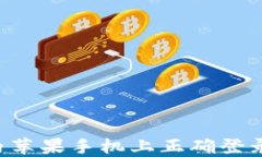 如何在国内苹果手机上正确登录TokenIM？