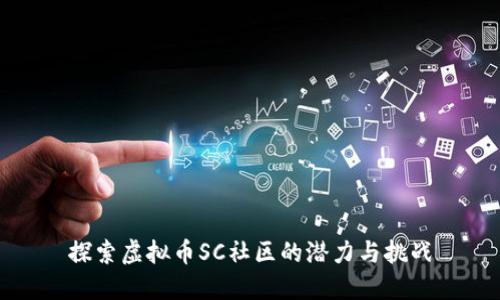 探索虚拟币SC社区的潜力与挑战