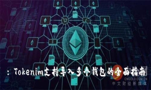 : Tokenim支持导入多个钱包的全面指南