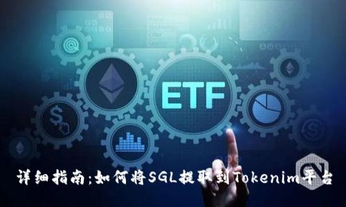 详细指南：如何将SGL提取到Tokenim平台