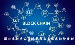  国内虚拟币公司现状与未