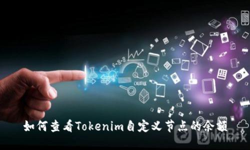 如何查看Tokenim自定义节点的余额
