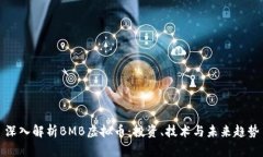 深入解析BMB虚拟币：投资