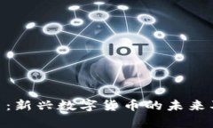  CCNY虚拟币：新兴数字货币的未来及其应用前景