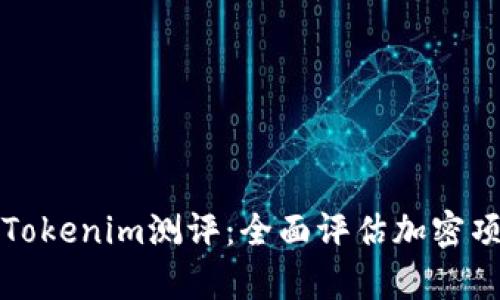 深入解析Tokenim测评：全面评估加密项目的利弊