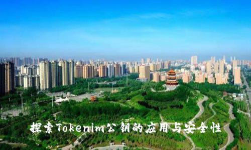 探索Tokenim公钥的应用与安全性